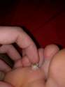 IMG_20160310_220126.jpg