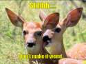 deer.png
