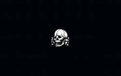 totenkopf_wallpaper_by_themistrunsred-d56nfkn.jpg