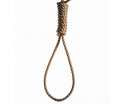 noose30n-1-web.jpg
