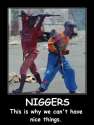 nigsnicethings.jpg