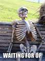 waiting for OP.jpg