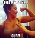 feel my gains tits.png