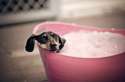s-Bubble-bath.jpg