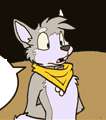 Fox (77).png