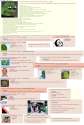 4chan.png