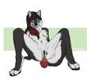 1432240167.bl4ckw0lf_1431993355.agentmoose_3www3332wsss.png