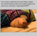 porker.png