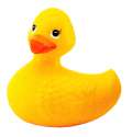 Rubberduckieplayskool.jpg