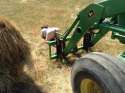 john deere1.jpg