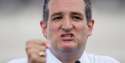 cruz.jpg