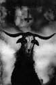 art-black-and-white-creepy-cult-Favim.com-2042087.jpg