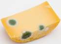 rotten-cheese.jpg
