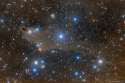 The Shark Nebula, 60 lightyears away, and 15 lightyears across.jpg