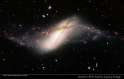 Polar Ring Galaxy NGC 660.jpg