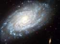 NGC-3370, the Silverado galaxy.jpg