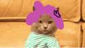 1452475738542.gif