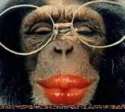 ChimpLipstick.jpg