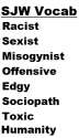 sjwvocab31141.png