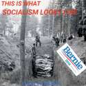 Socialism.jpg.jpg