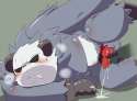 Pangoro (5).jpg