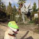 dinodog.jpg