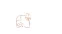 cat.png