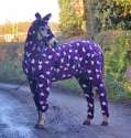 Horse_in_onesie.jpg