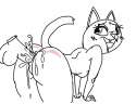 catfuqr.jpg