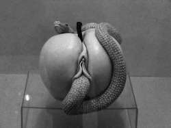 AppleOfEden.jpg
