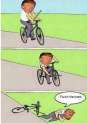 373249_b.jpg