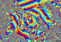 6375d019ebab283b93150d6b17da7cda.gif