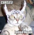 cat-foiledagain.jpg