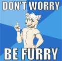 furry.jpg