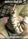 cat-yearbook-picture.jpg