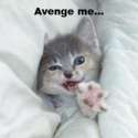 cat-avengeme.jpg