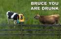 bruce-you-are-drunk.jpg