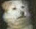 aaaa.png