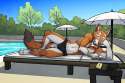 1450677857.tsaiwolf_bruma-speedo-tsaiwolffa.jpg
