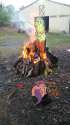 33266 - Artist CarniviousDuck abuse bad_momma burnies chrip farm fluffy_roast fluffys_in_real_life foals grass green_fluffy on_fire outside peep pink_fluffy questionable sorry_stick talky_babbeh tears whipped.jpg