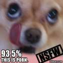 2d49e71e45cd4b9b9be49ac3ce0d19a9.jpg