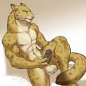1445794879.greifenherz_h2cgmg6_by_kittydee_small.png