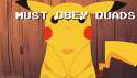 MUST OBEY QUADS.gif