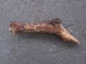 stick-gun-shaped.jpg