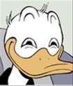 ducky.jpg