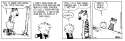 Calvin-and-Hobbes-Raccoon.gif