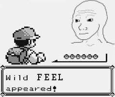 Wild Feel.jpg