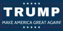 TRUMP-make-america-great-again_5932.jpg
