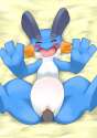 Swampert3b.jpg