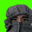 Fux.jpg